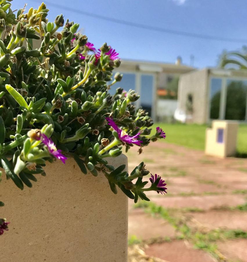 B&B Villa Degli Angeli Bernalda Εξωτερικό φωτογραφία